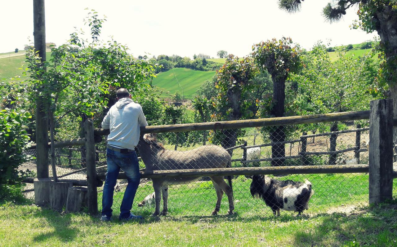 Azienda Agrituristica Colle San Giorgio Castiglione Messer Raimondo Exteriör bild
