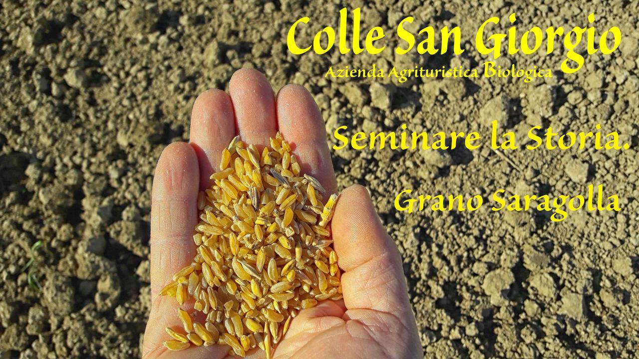 Azienda Agrituristica Colle San Giorgio Castiglione Messer Raimondo Exteriör bild