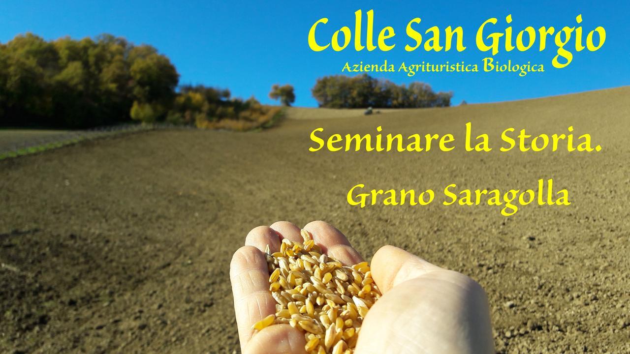 Azienda Agrituristica Colle San Giorgio Castiglione Messer Raimondo Exteriör bild