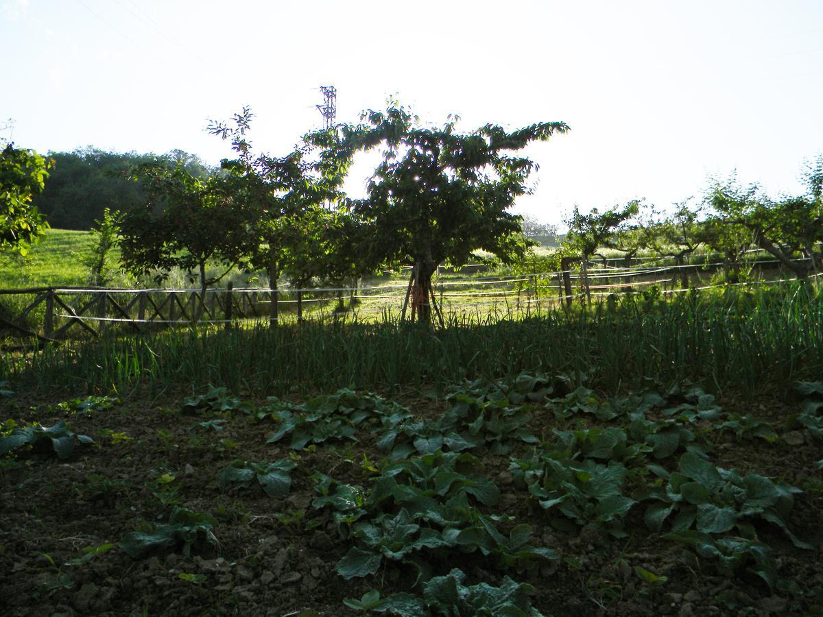 Azienda Agrituristica Colle San Giorgio Castiglione Messer Raimondo Exteriör bild