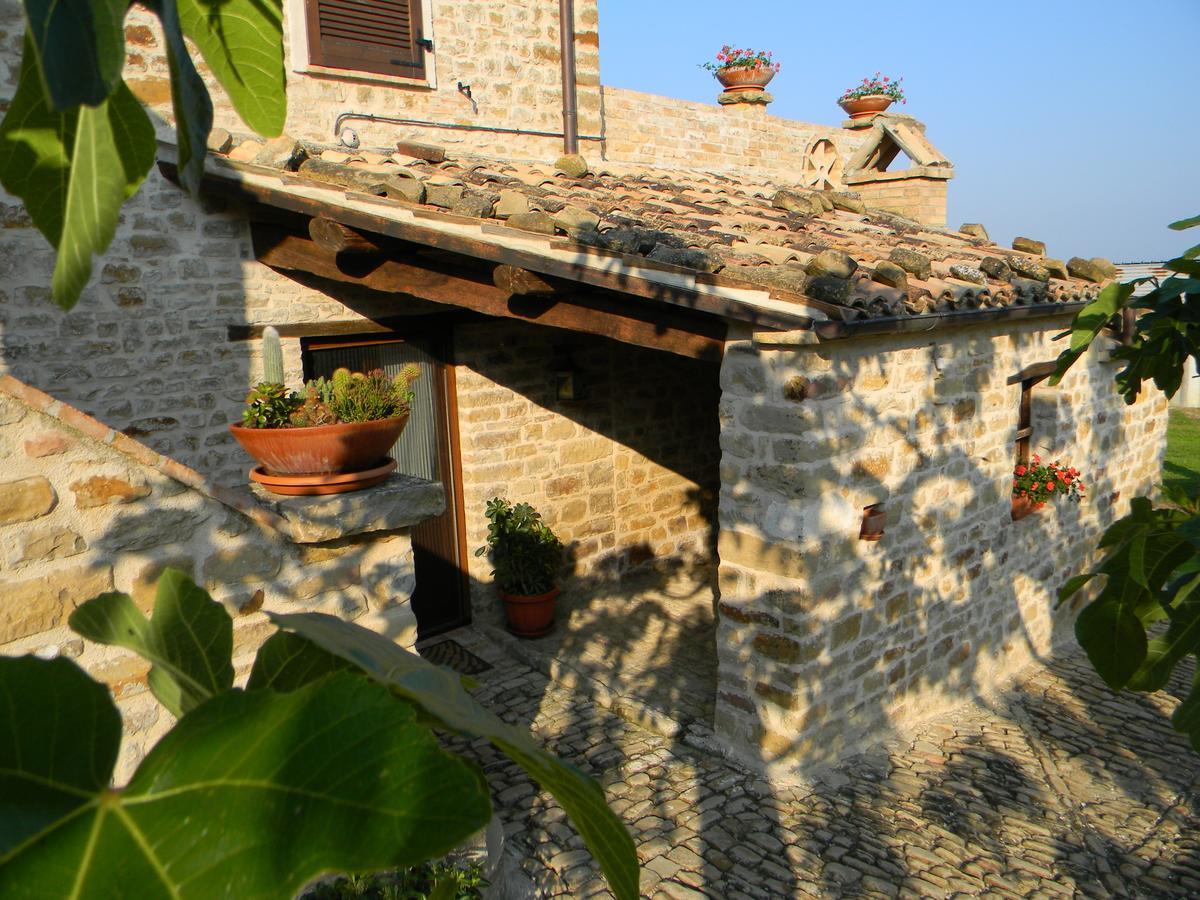 Azienda Agrituristica Colle San Giorgio Castiglione Messer Raimondo Exteriör bild