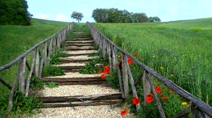 Azienda Agrituristica Colle San Giorgio Castiglione Messer Raimondo Exteriör bild